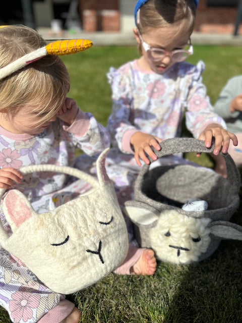 Alpaca Basket